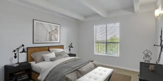 Liv on Steele Gallery 5