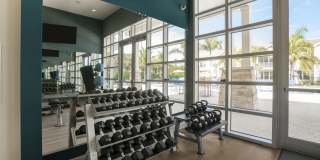 Waterline Estero Gallery 23