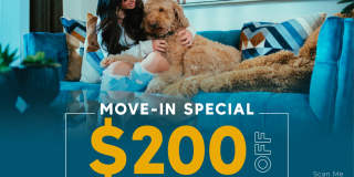 Maverick Gallery 240