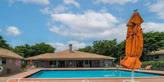 9900 Pineapple Tree Drive Gallery 20