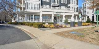 Haven at Birkdale Village Gallery 39