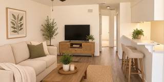 Cameo Village Gallery 1