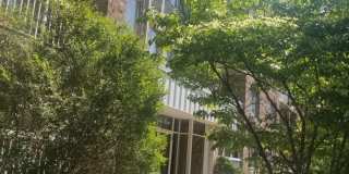 171 WELLINGTON Gallery 11