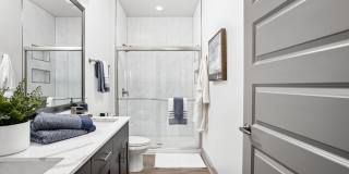 The Steadman Apartments Gallery 10