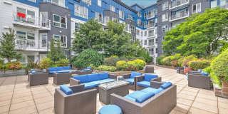 Dexter Lake Union Gallery 38