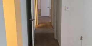 Renovated 2 Bedroom / 2 Bath Condo for Rent Gallery 13