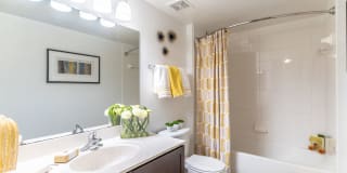 Trails at Loma Gallery 33