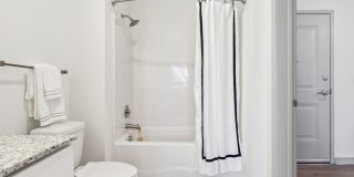 The Constellation on King Apartments Gallery 14