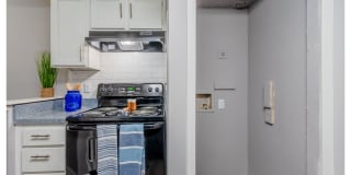 The Hills of Palos Verdes Gallery 3