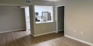 Palms of Clearwater Gallery 57