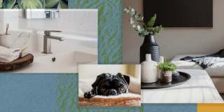 Elevation San Tan Gallery 31