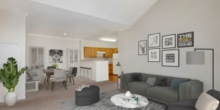 Haven Largo Gallery 14