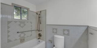 1803 Bluebonnet Gallery 26