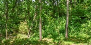 543 College Street Gallery 19