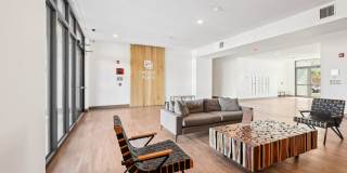 Elements on Third Gallery 15