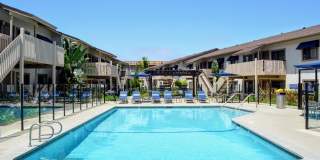 La Jolla Canyon Gallery 7