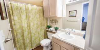 Ashley Oaks Apartments Gallery 6