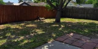 FOR RENT Gallery 18