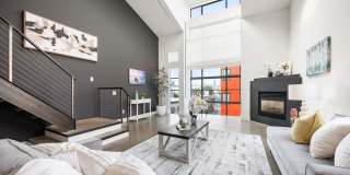 249 Shipley St Gallery 2