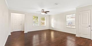 14716 Hooded Merganser Gallery 1