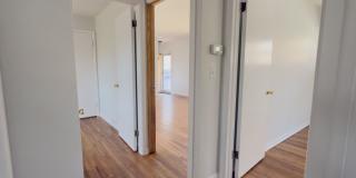 Freshly Updated 3BR Home in Prime Ann Arbor Location Gallery 18
