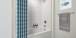 Castile Apartments Gallery 50