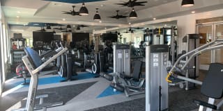 The Peak at Nichols Plaza Gallery 21