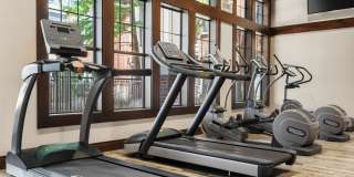 Terrawood Gallery 16