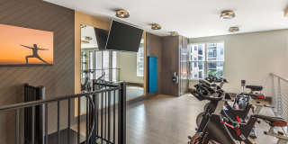 Mayfair Reserve Gallery 22