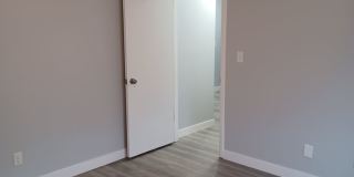 Pine Tree Flats Gallery 32