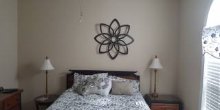 Beautifully furnished 1 bed condo in Myrtlewood community - If application is completed within 48 hours of showing application fee will be waived. Gallery 4