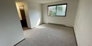3801 37th Drive Gallery 10