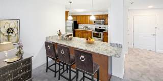 Grassfields Commons Gallery 7