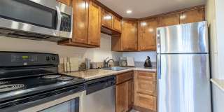 El Gato Penthouse Gallery 7