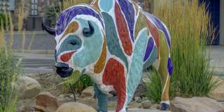 Sandalwood Gallery 35