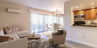 El Gato Penthouse Gallery 10