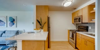 The elements at Sloan’s Lake Gallery 2