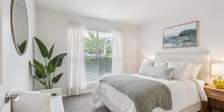 Pebble Creek Gallery 12