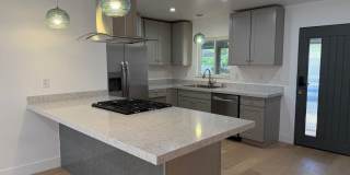 Fully Remodeled 3 Bedroom/ 2 Bathroom Duplex w/ Modern Finishes & Private Yard! Gallery 3