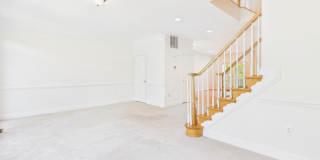 25807 TURLOUGH Terrace Gallery 33