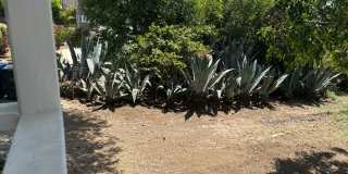 Newly renovated 2 bedroom 2 bathroom in a great location Gallery 32