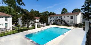 Hidden Colony Gallery 15