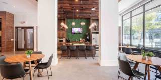 Tree Apartments Gallery 6