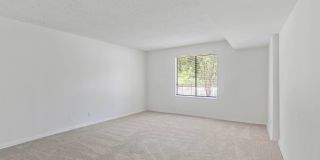 Vistas of Annadale Gallery 10