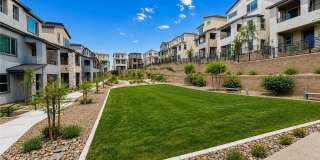 1482 Upland Sandpiper Street Gallery 44