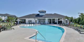 The Aster Gallery 24