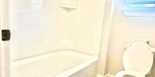 242 ORCHARD Lane Gallery 33