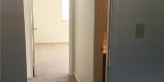 2219 Pine Shore Court Gallery 8