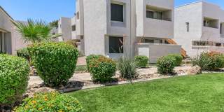 Cove on 44th Gallery 18