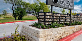 Timberhill Commons Gallery 30